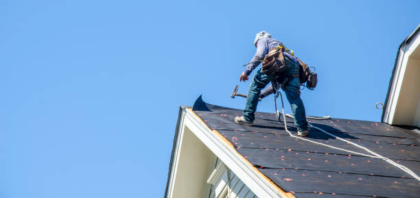 Best Roof Gutter Cleaning  in Niagara University, NY
